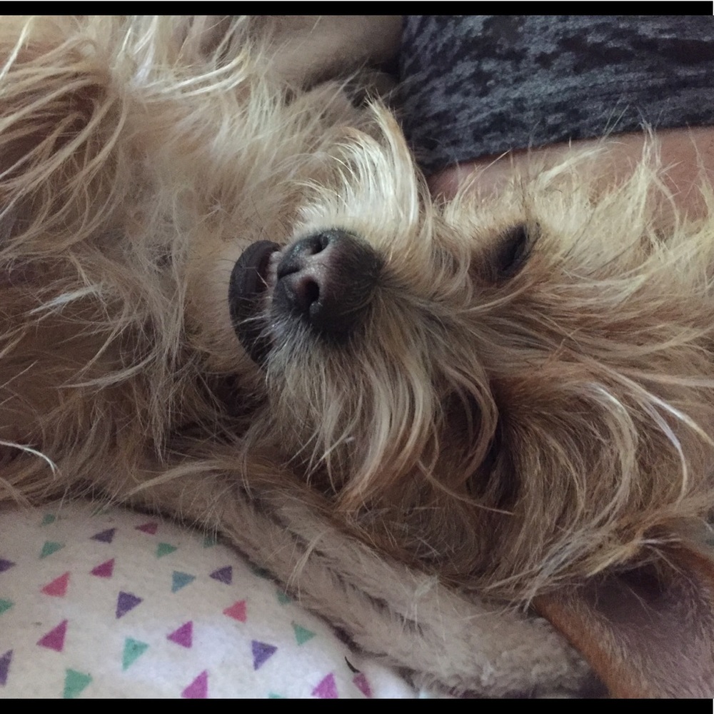 Meet your Posher, Alea